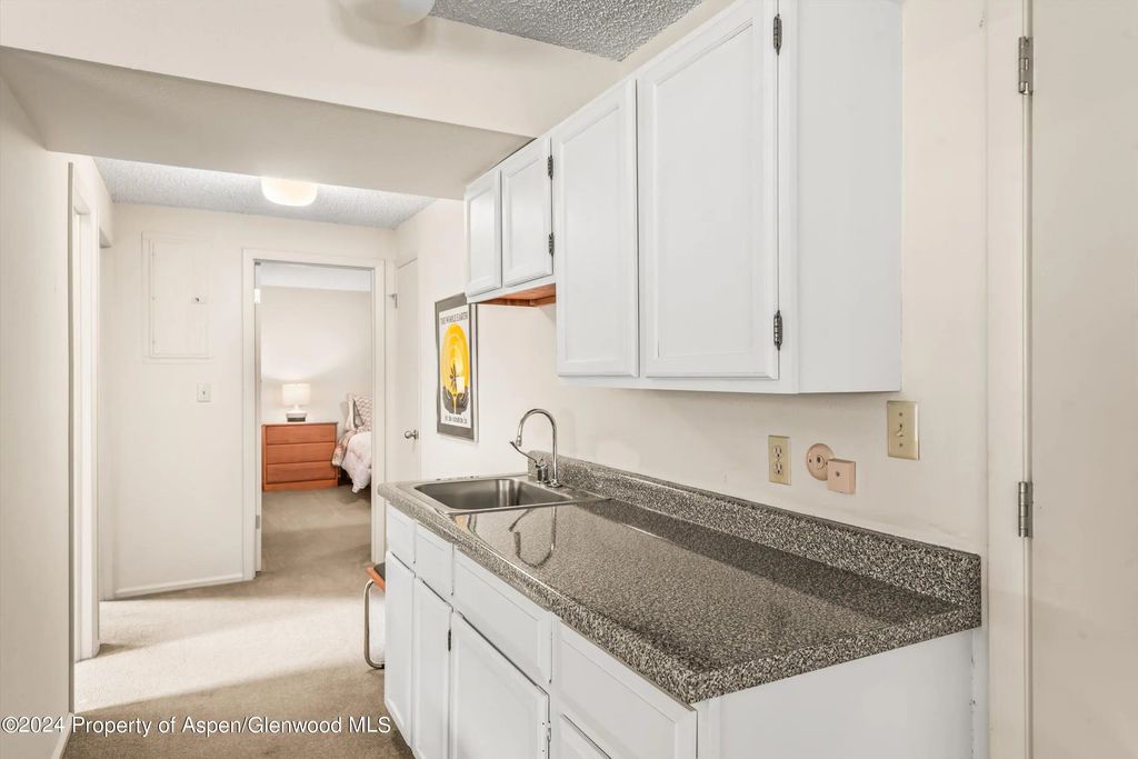 26 of 41 - 1275 Snowbunny Lane 2, Aspen, CO