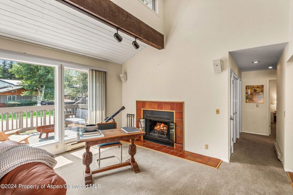 9 of 41 - 1275 Snowbunny Lane 2, Aspen, CO