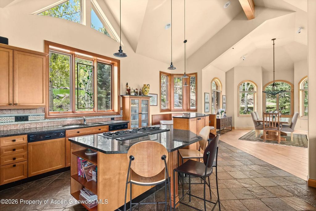 22 of 50 - 221 Stellar Lane, Snowmass Village, CO