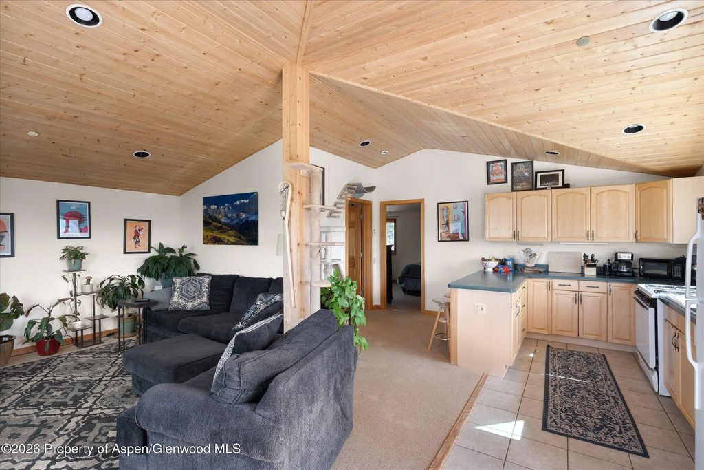 27 of 37 - 115 Rural Mountain Way, Snowmass, CO