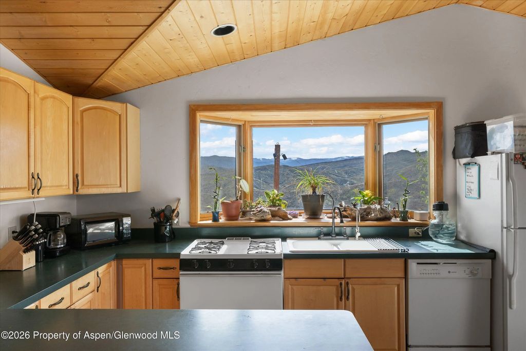 28 of 37 - 115 Rural Mountain Way, Snowmass, CO