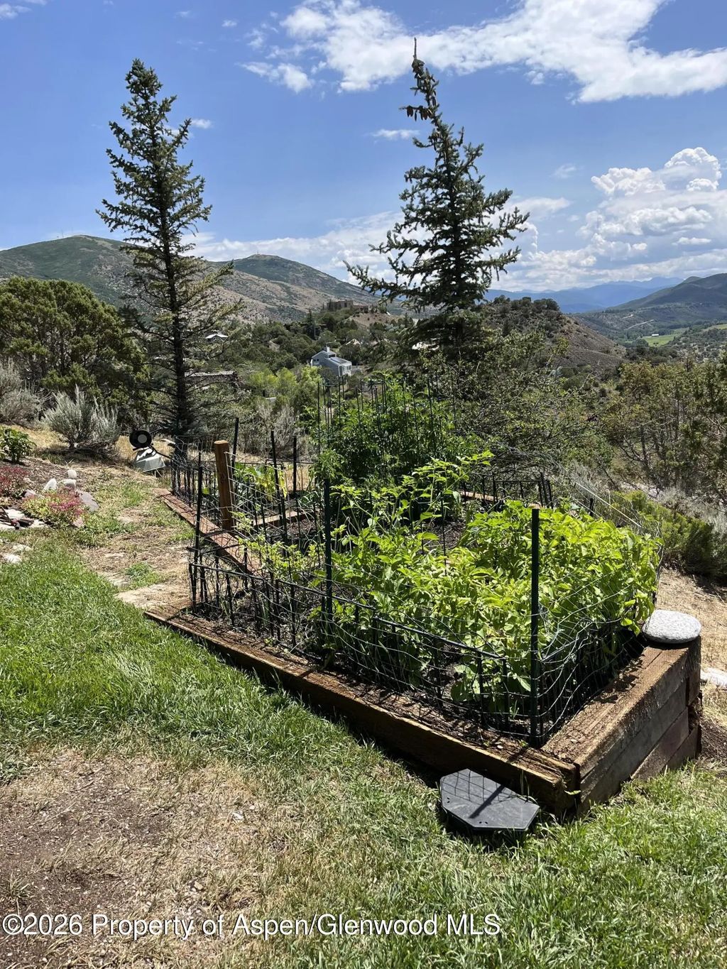 29 of 32 - 234 Light Hill Road, Snowmass, CO