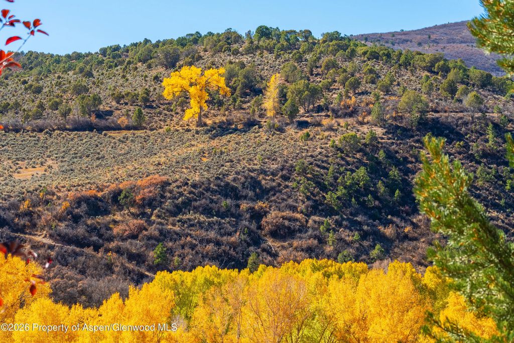 48 of 74 - 422 Sopris Creek Road, Basalt, CO