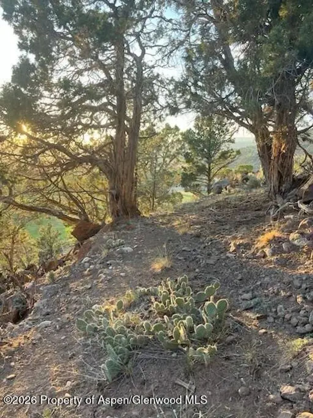51 of 74 - 422 Sopris Creek Road, Basalt, CO