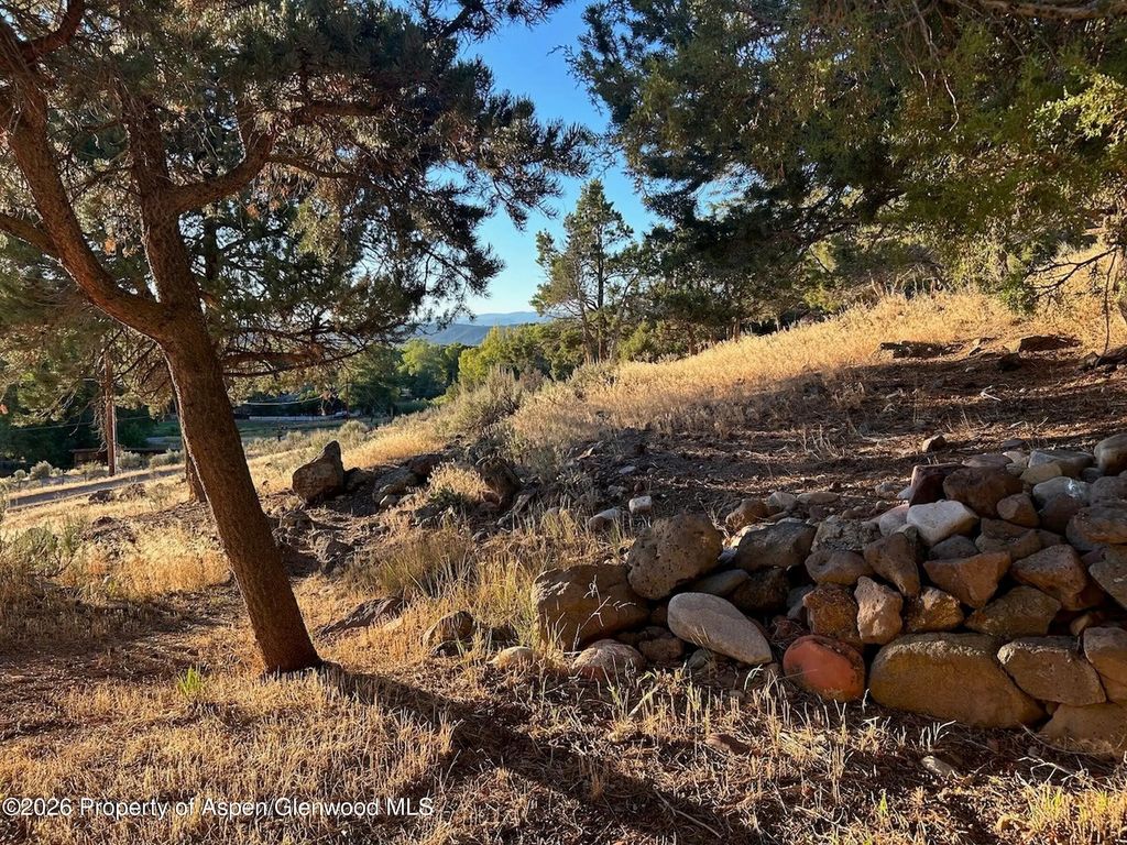 67 of 74 - 422 Sopris Creek Road, Basalt, CO