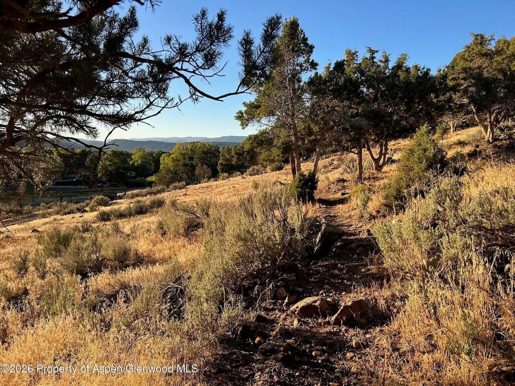 69 of 74 - 422 Sopris Creek Road, Basalt, CO