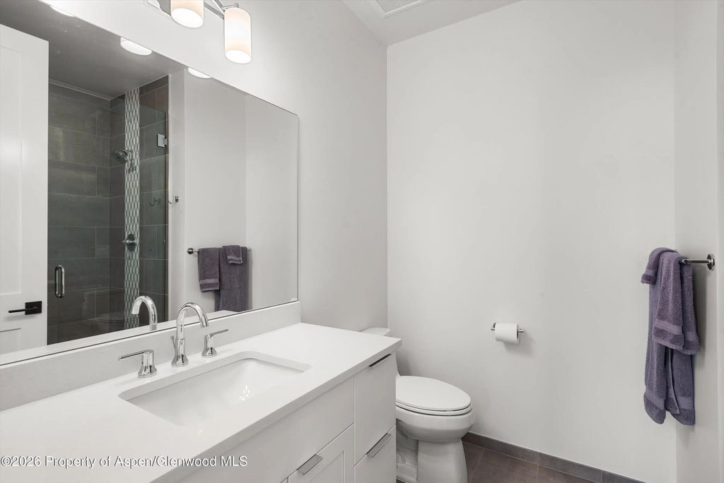 30 of 43 - 303 Golden Bear Drive, Carbondale, CO
