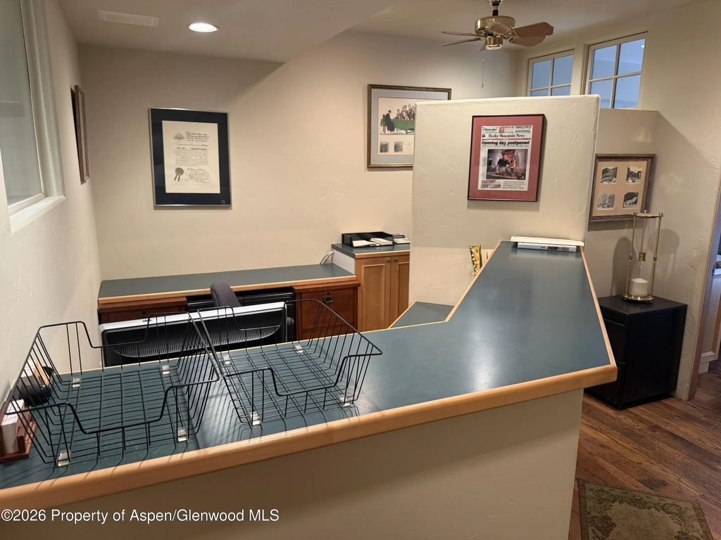 617 W Main Street B, Aspen