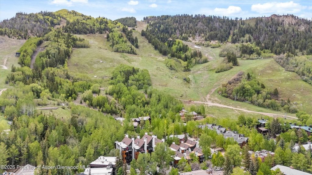 12 of 14 - 800 S Mill Street 6a, Aspen, CO