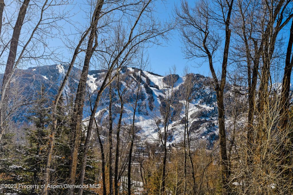 22 of 37 - 1036 Red Mountain Road, Aspen, CO