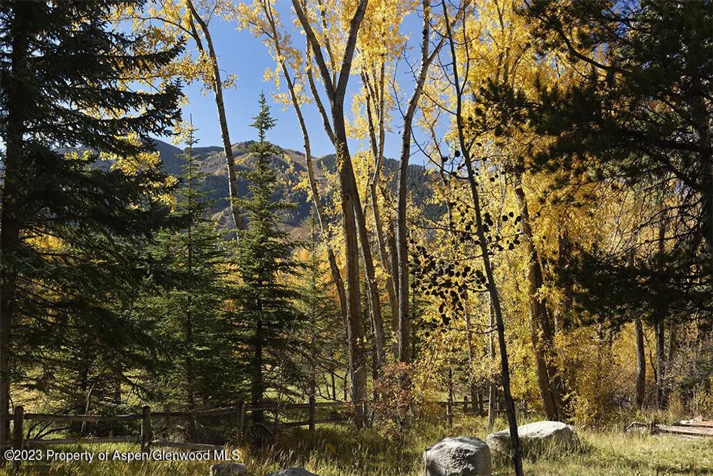 31 of 37 - 1036 Red Mountain Road, Aspen, CO
