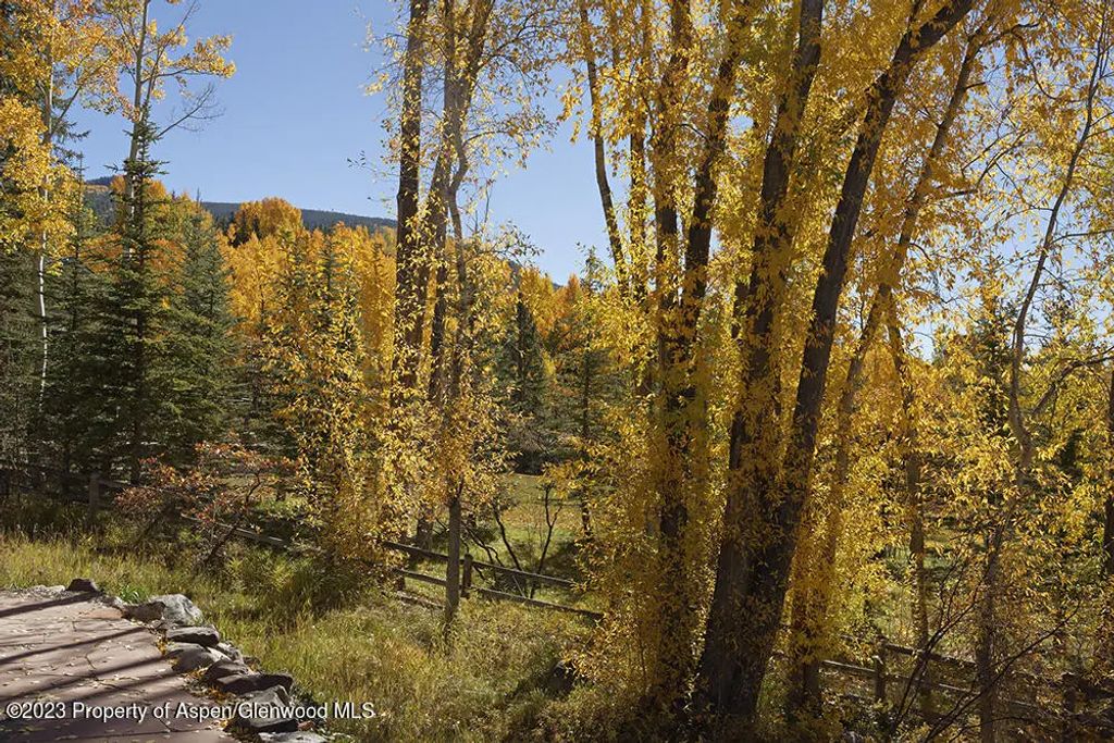 35 of 37 - 1036 Red Mountain Road, Aspen, CO