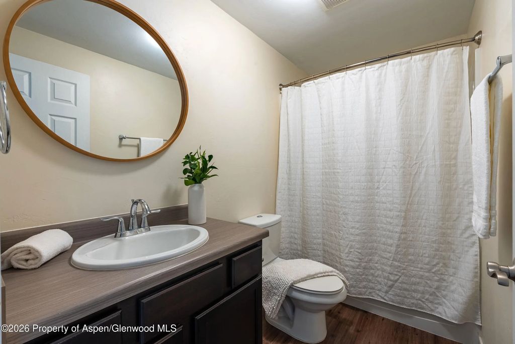20 of 22 - 321 W Eighth Court, Carbondale, CO