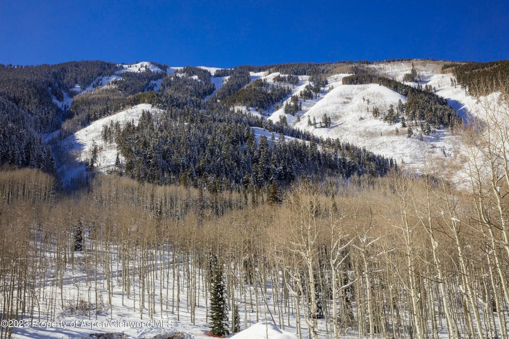 28 of 42 - 640 S Hayden Road, Aspen, CO