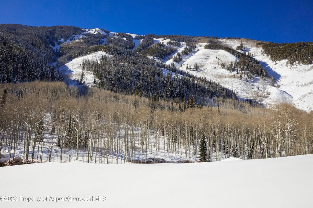 29 of 42 - 640 S Hayden Road, Aspen, CO