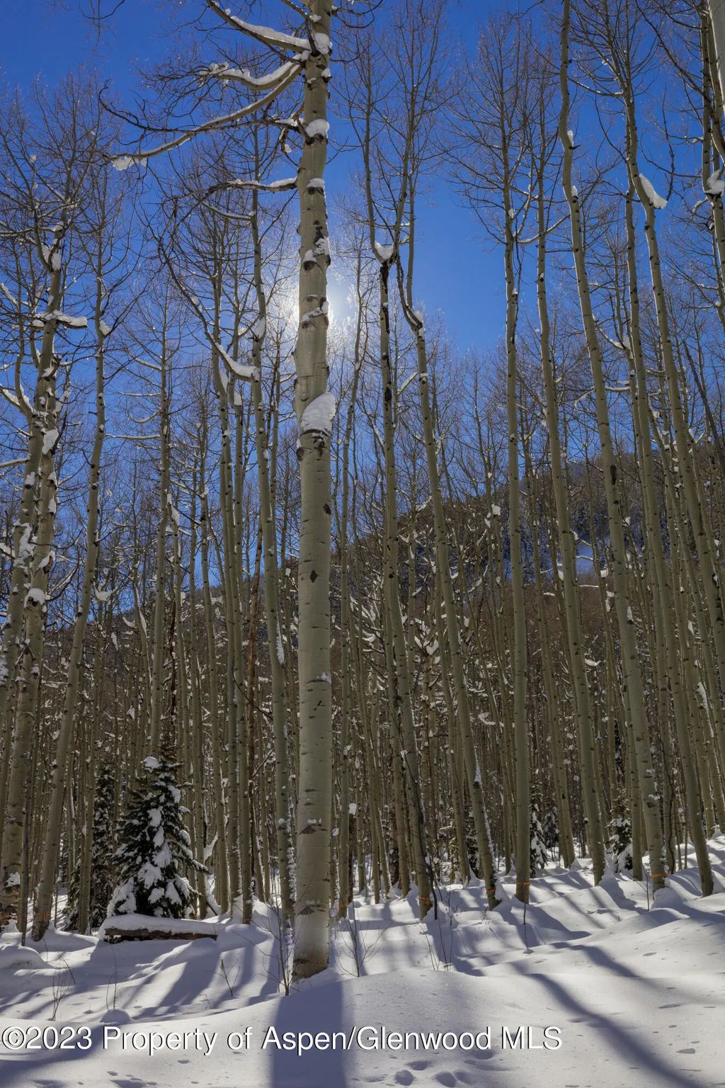 36 of 42 - 640 S Hayden Road, Aspen, CO