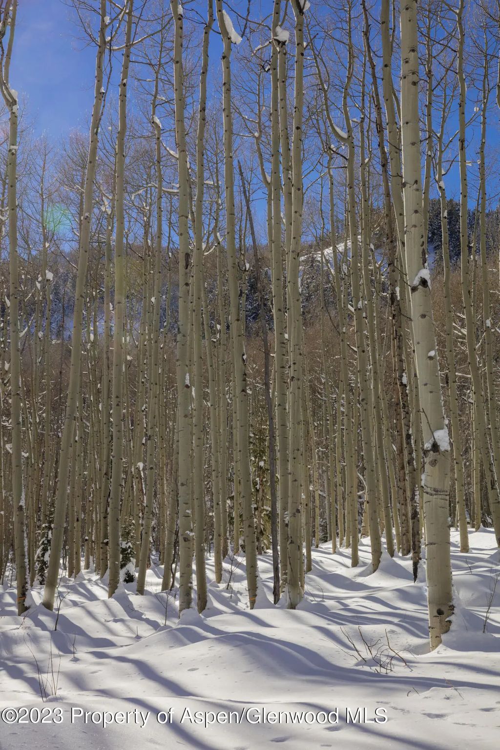 37 of 42 - 640 S Hayden Road, Aspen, CO