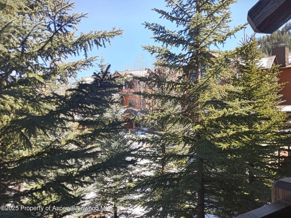 29 of 31 - 0197 Prospector Road Unit 2310 Summer Interest #7, Aspen, CO