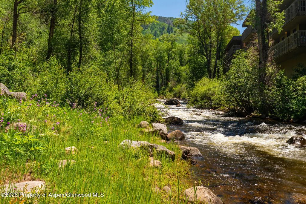 29 of 34 - 979 Queen Street, Aspen, CO