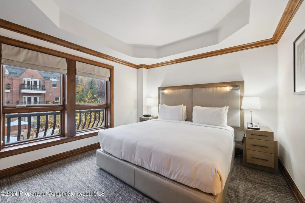 8 of 21 - 415 E Dean St., Unit 10, Wks 32 & 33, Aspen, CO