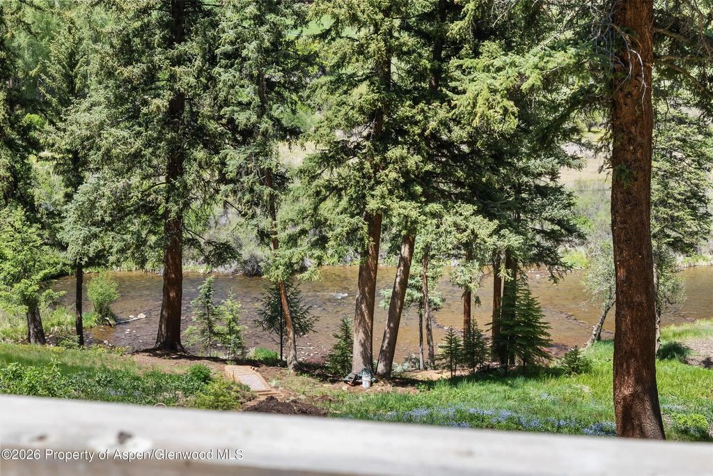 18 of 42 - 768 Kings Lake Road, Basalt, CO