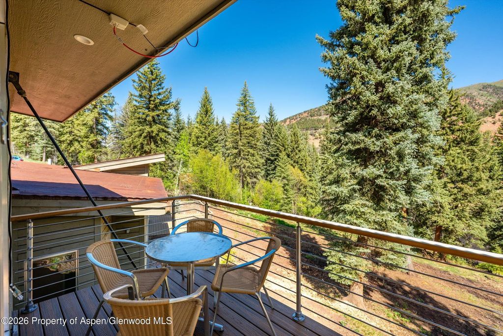 32 of 42 - 768 Kings Lake Road, Basalt, CO