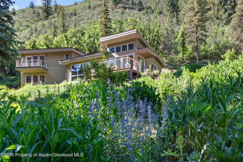 4 of 42 - 768 Kings Lake Road, Basalt, CO