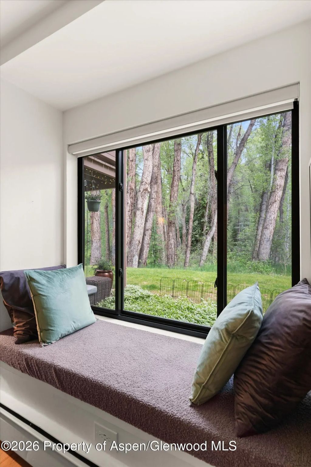 12 of 25 - 412 Vine Street, Aspen, CO
