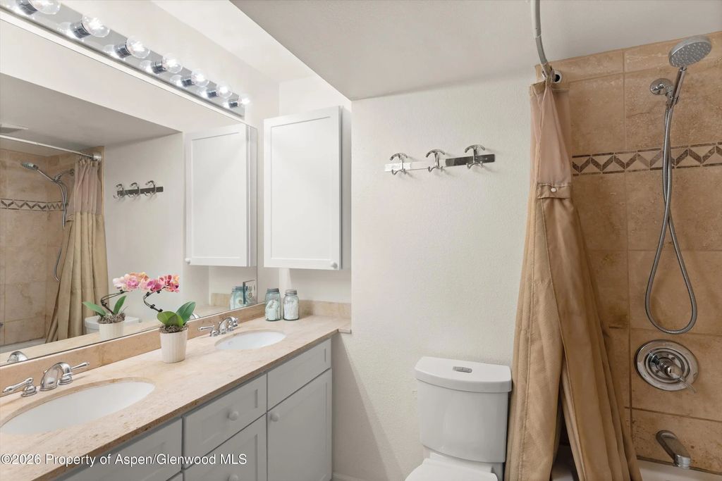 14 of 25 - 412 Vine Street, Aspen, CO