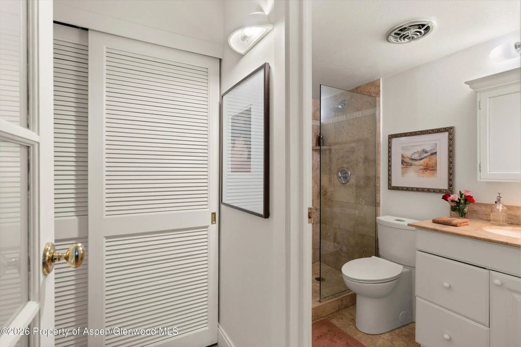 18 of 25 - 412 Vine Street, Aspen, CO