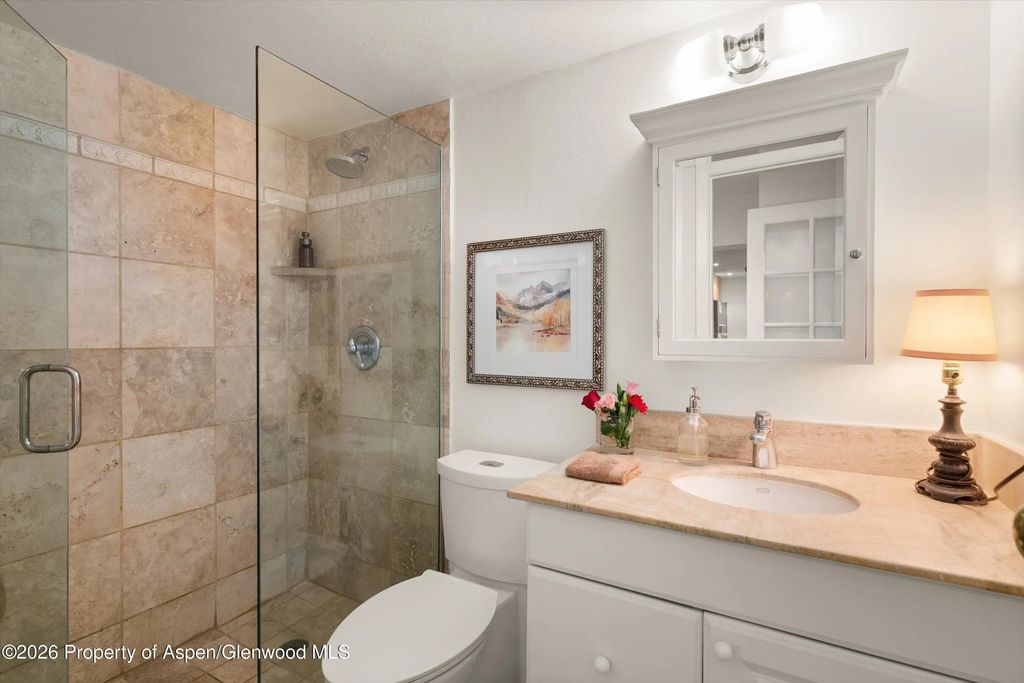 19 of 25 - 412 Vine Street, Aspen, CO