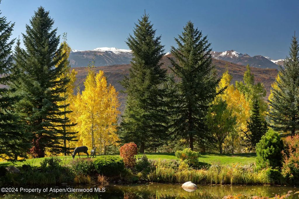 50 of 53 - 120 Running Mare Road, Woody Creek, CO