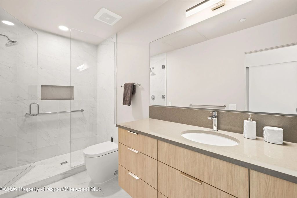 13 of 21 - 101 Willow Road 206, Basalt, CO