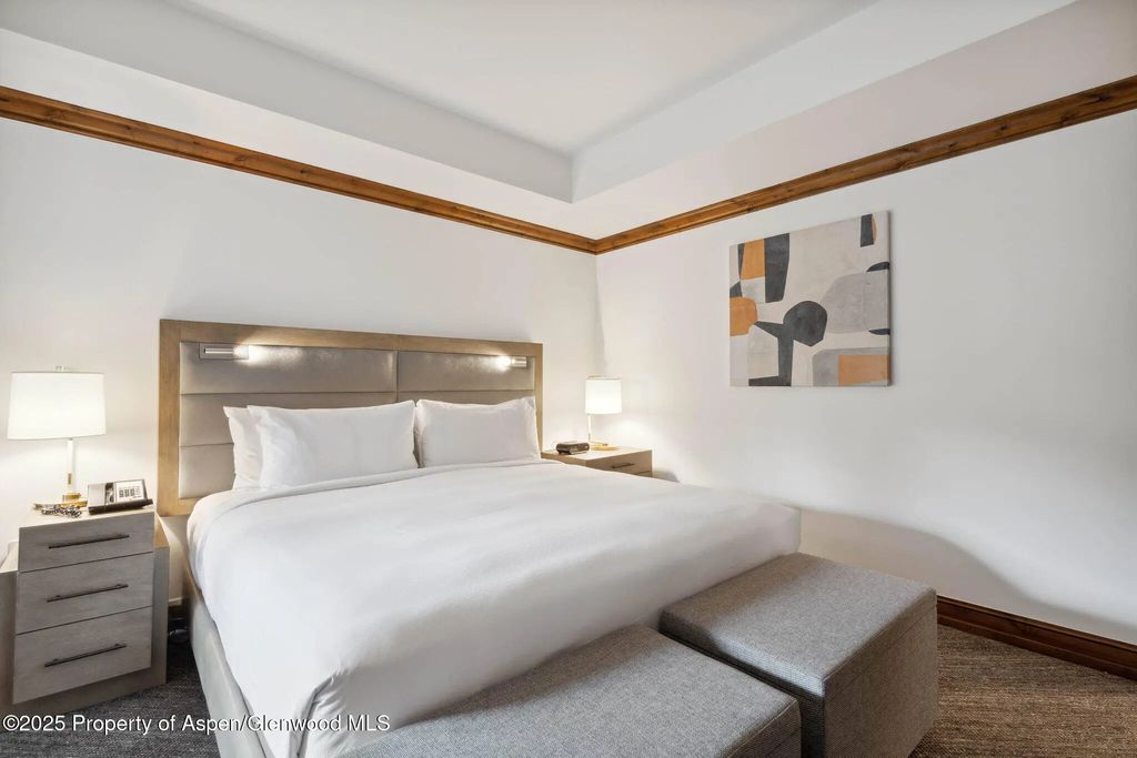 20 of 35 - 415 E Dean St., Unit 38, Week 33, Aspen, CO