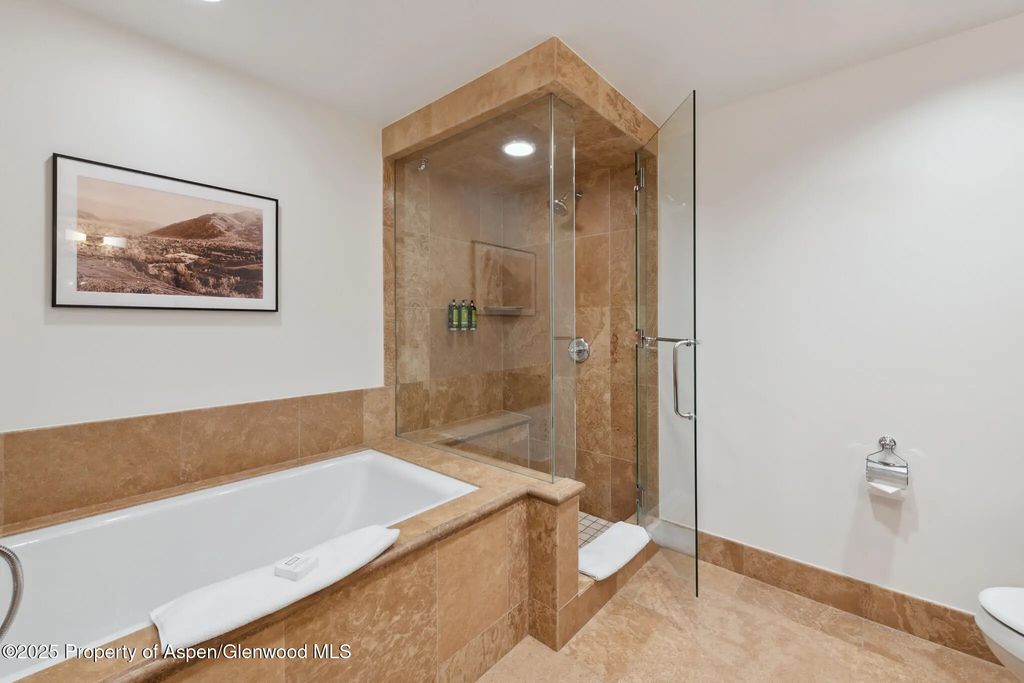22 of 35 - 415 E Dean St., Unit 38, Week 33, Aspen, CO