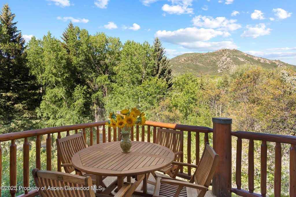 10 of 43 - 106 N Little Texas Lane, Woody Creek, CO