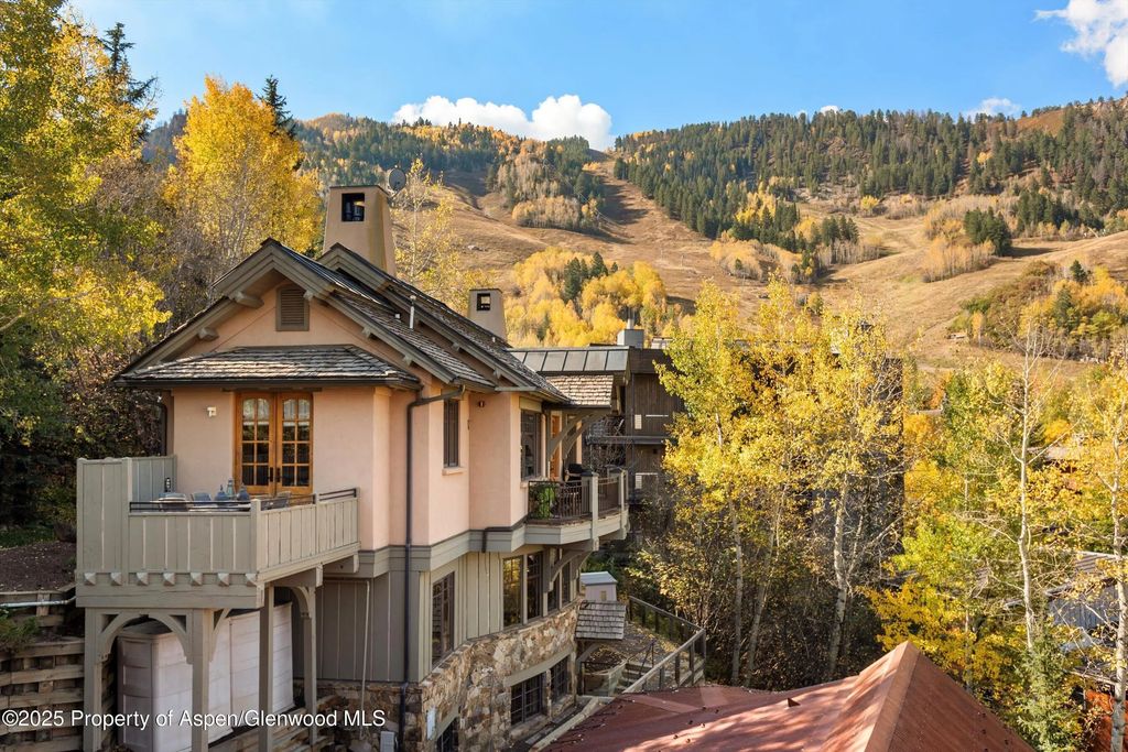 18 of 31 - 660 S Galena Street, Aspen, CO