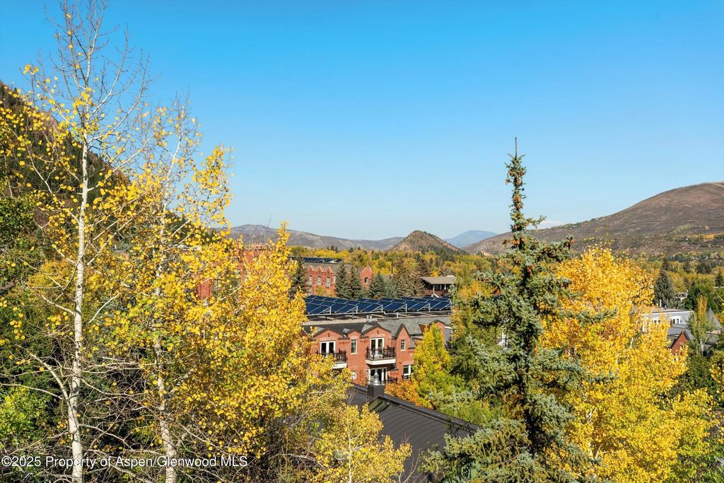 22 of 31 - 660 S Galena Street, Aspen, CO