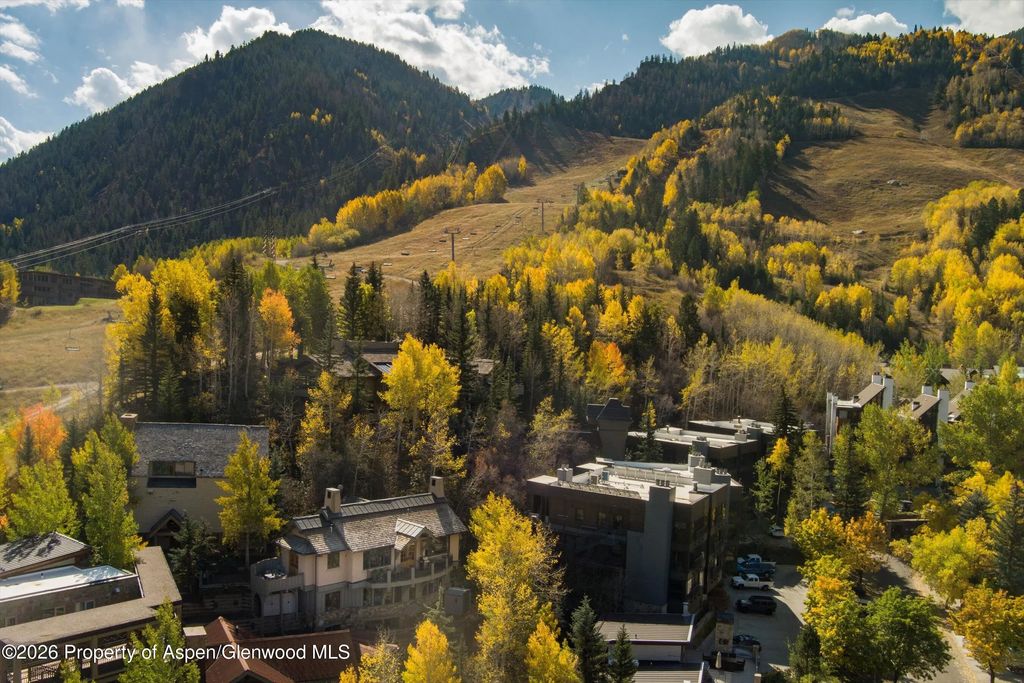25 of 31 - 660 S Galena Street, Aspen, CO