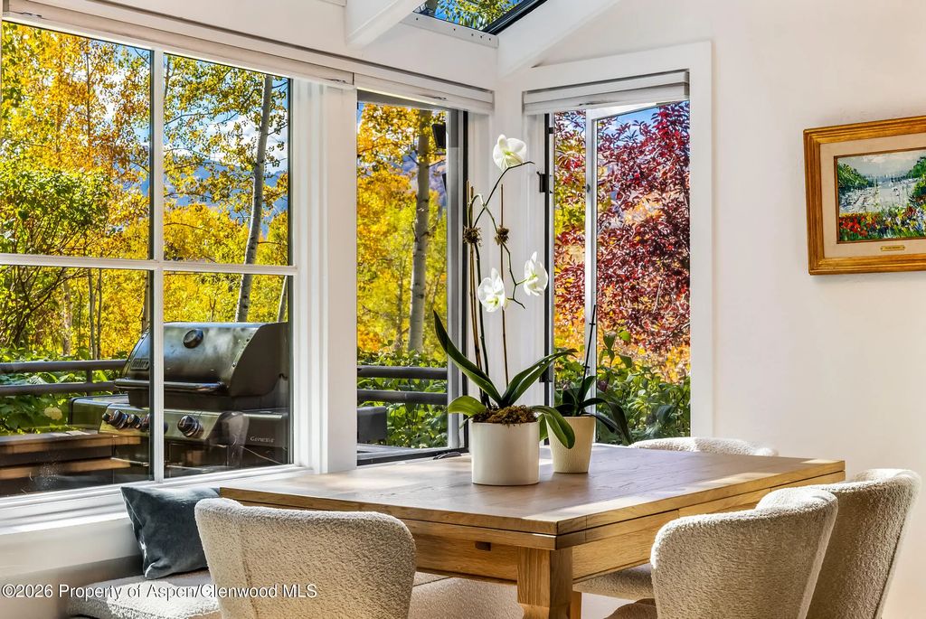 100 N 8th Street 19, Aspen