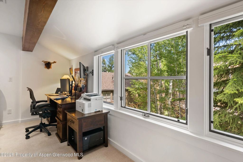 21 of 24 - 100 N 8th Street 19, Aspen, CO