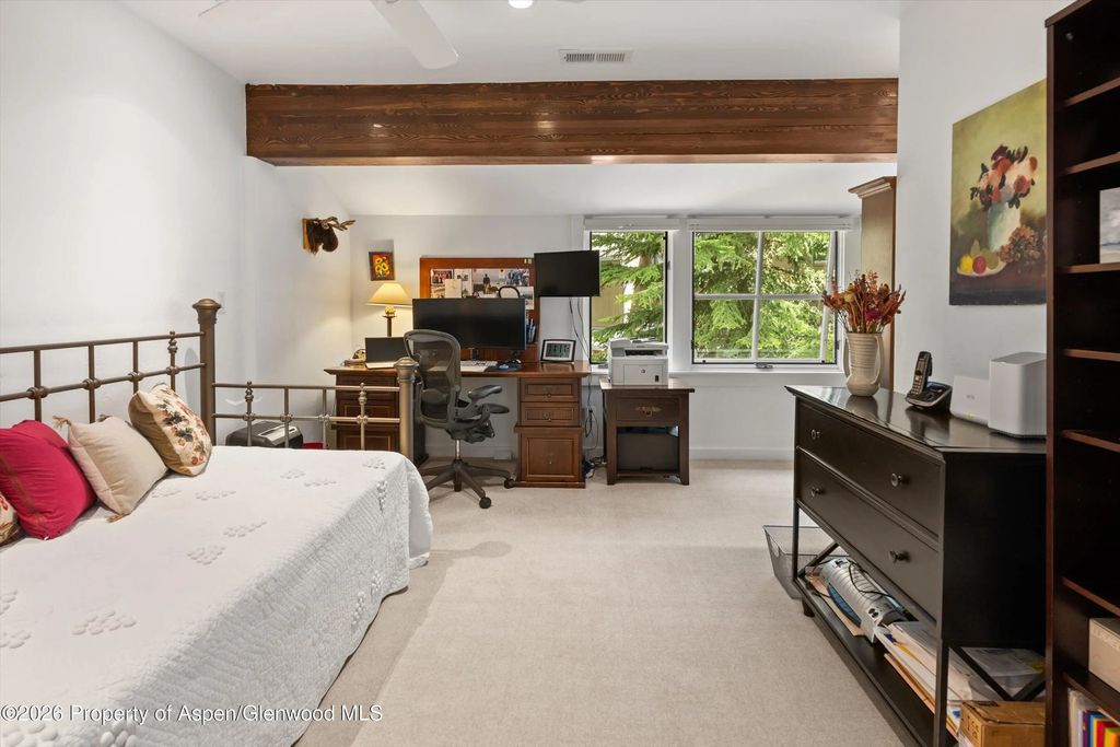 22 of 24 - 100 N 8th Street 19, Aspen, CO