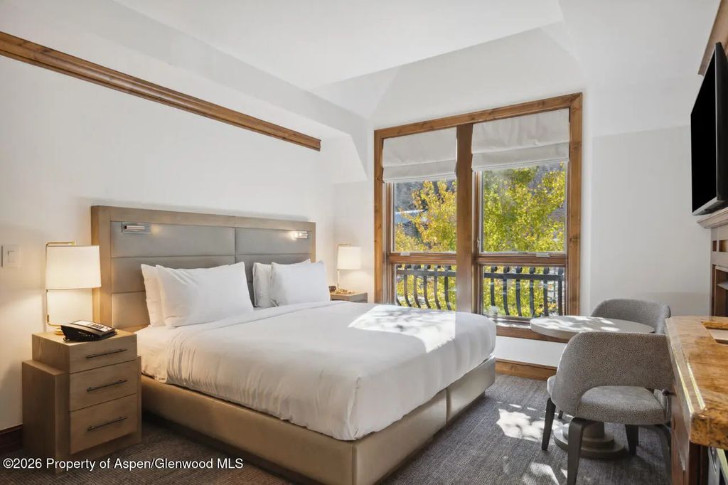 11 of 22 - 415 E Dean St. #32, Wk 9, Aspen, CO