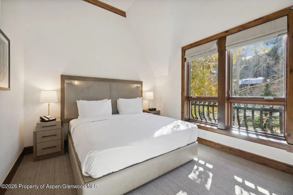 13 of 22 - 415 E Dean St. #32, Wk 9, Aspen, CO