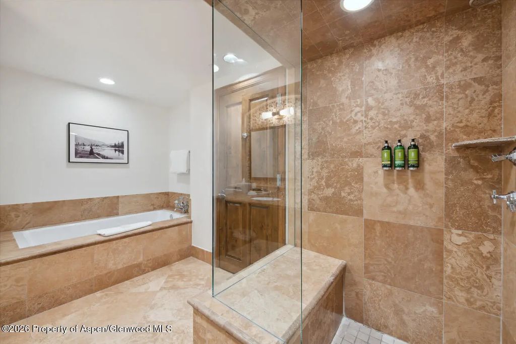 19 of 22 - 415 E Dean St. #32, Wk 9, Aspen, CO