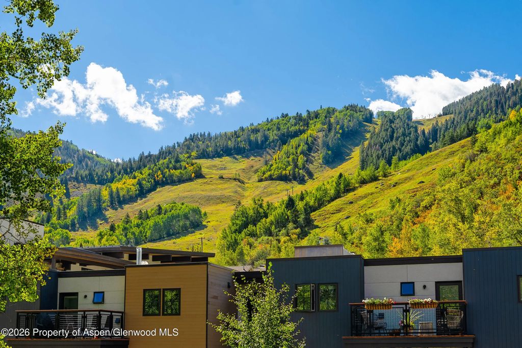 14 of 18 - 100 E Dean Street Unit 2b, Aspen, CO