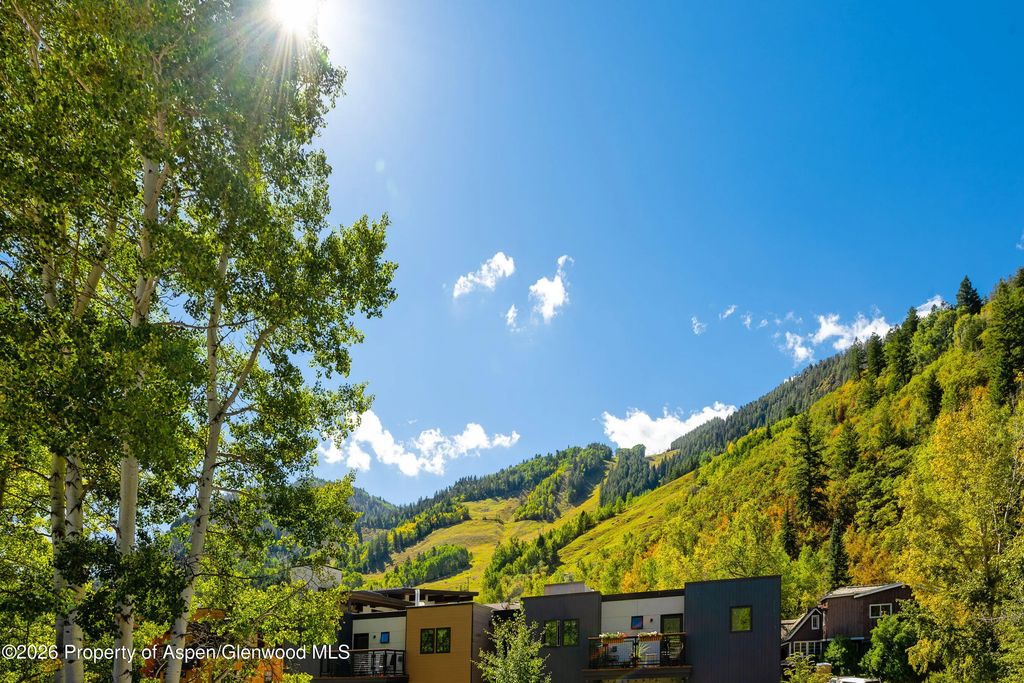 15 of 18 - 100 E Dean Street Unit 2b, Aspen, CO