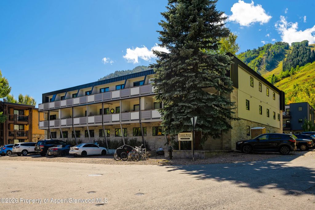 17 of 18 - 100 E Dean Street Unit 2b, Aspen, CO