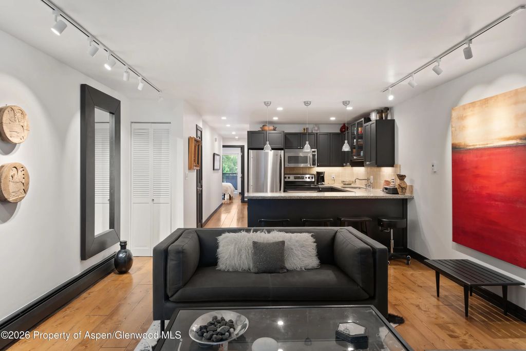 4 of 18 - 100 E Dean Street Unit 2b, Aspen, CO