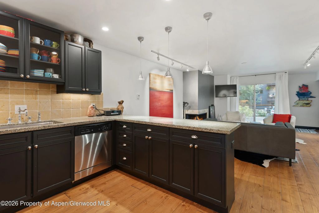 5 of 18 - 100 E Dean Street Unit 2b, Aspen, CO